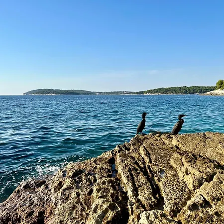 Sole * Pula